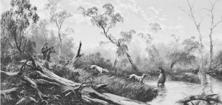 Kangaroo hunt early Australia - bailed up